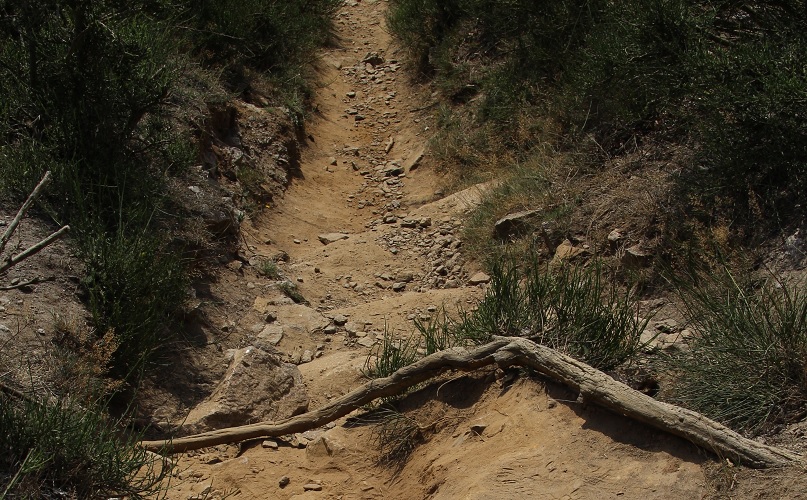 سمفونی دنیا (داستان کوتاه)