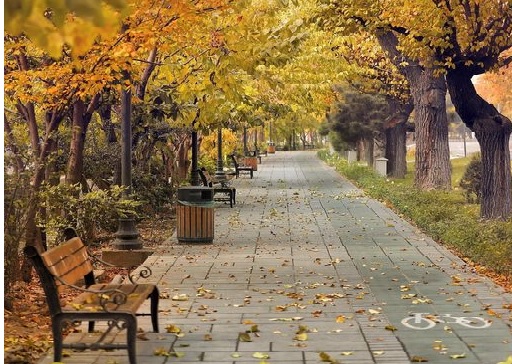 توهم مهاجرت - داستان 