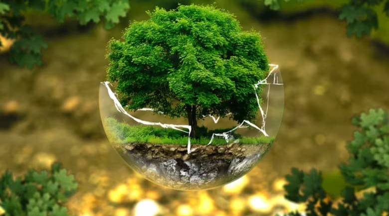 روز جهانی محیط زیست (World Environment Day) 
