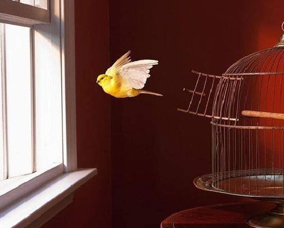 این نشد یکی دیگه