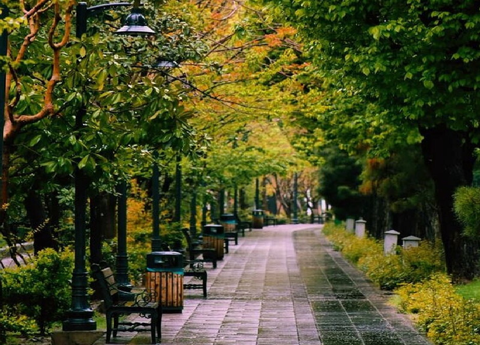 توهم مهاجرت