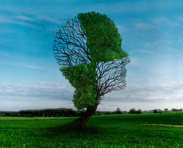 حافظه و طب مکمل