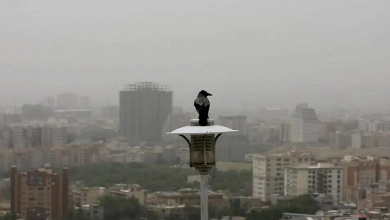 تغذیه و نکات کلیدی برای روزهای گرم و آلوده 