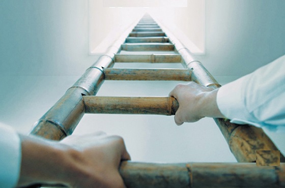 راز موفقیت پایدار