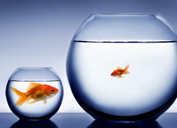 چگونه از مقایسه های نادرست دوری کنیم؟